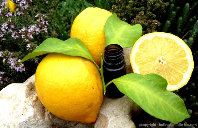 huile esentielle citron jaune