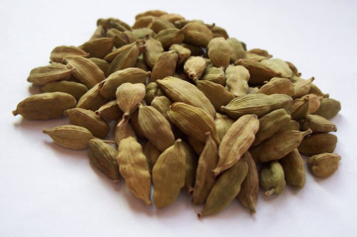 huile essentielle Cardamome