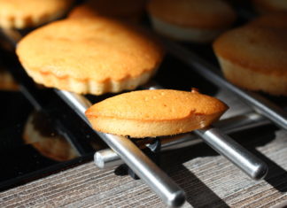 financiers huile citronnelle