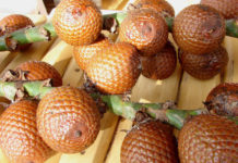 huile de buriti
